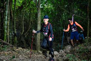 BIB: 
                            <button type="button" onclick="openModal(19440960)" class="btn btn-primary btn-sm float-right btn-popup" data-toggle="modal" data-target=".modal-high-quality">
                        <i class="fas fa-shopping-cart"></i> Add to Cart
                    </button>
                                            <button type="button" onclick="isThisMe(19440960, true)" class="btn btn-success btn-sm float-right btn-popup btn-isme hidden" data-toggle="tooltip" data-placement="bottom" title="นี่คือรูปของคุณใช่ไหม คลิกที่นี่เพื่อเอาเข้าอัลบั้ม">
                        <i class="fas fa-plus"></i> Add to album
                    </button>
                    <button type="button" onclick="isThisMe(19440960, false)" class="btn btn-warning btn-sm float-right btn-popup btn-isnotme hidden">
                        <i class="fas fa-ban"></i> Remove from album
                    </button>